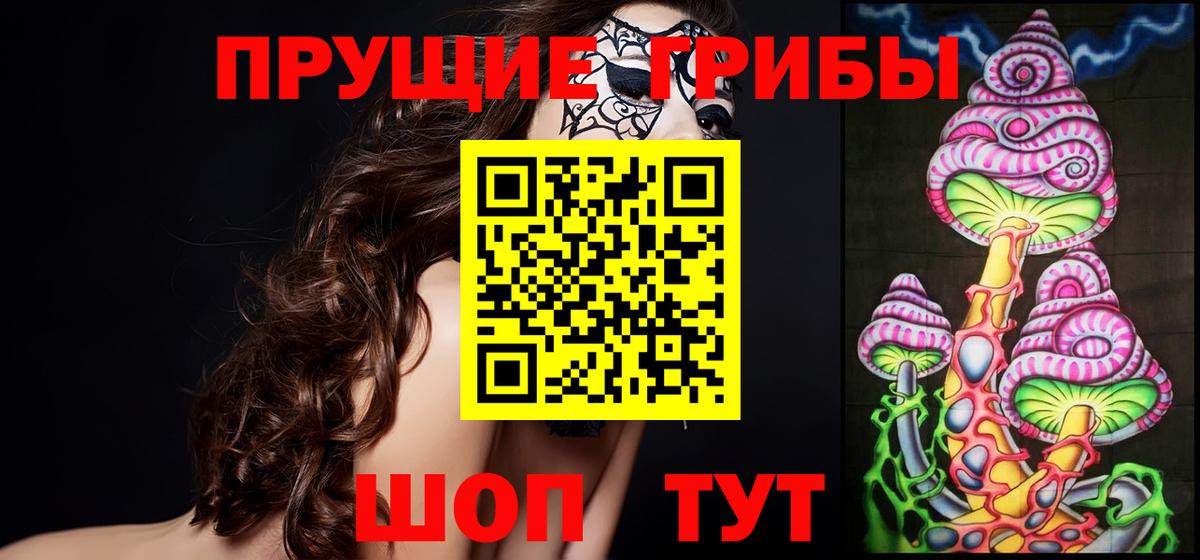 Татарск  Псилоцибиновые грибы прущие грибы  Вход с VPN 